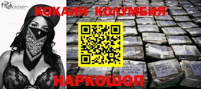 индика Кингисепп