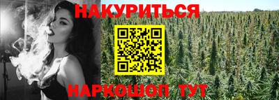 индика Кингисепп