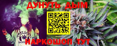 индика Кингисепп