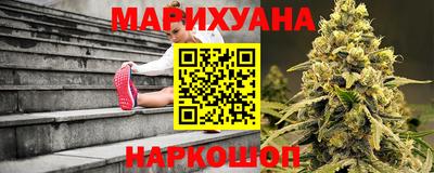 индика Кингисепп