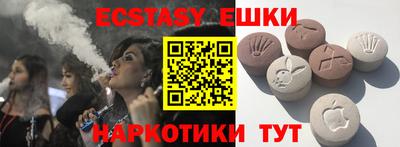 индика Кингисепп