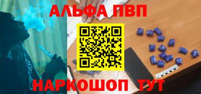 индика Кингисепп