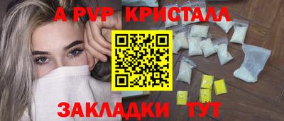 индика Кингисепп