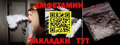 индика Кингисепп