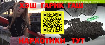 индика Кингисепп